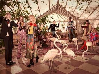 Fenicotteri rosa e voliere tropicali, la nuova campagna targata Gucci /Video Fenicotteri rosa e voliere tropicali, la nuova campagna targata Gucci /Video